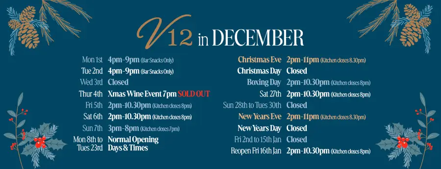 Web Banner for xmas openings